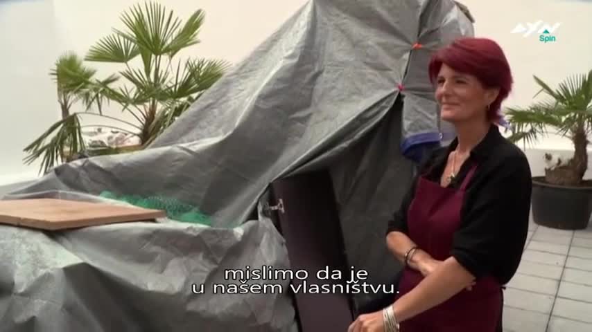 AXNSpin