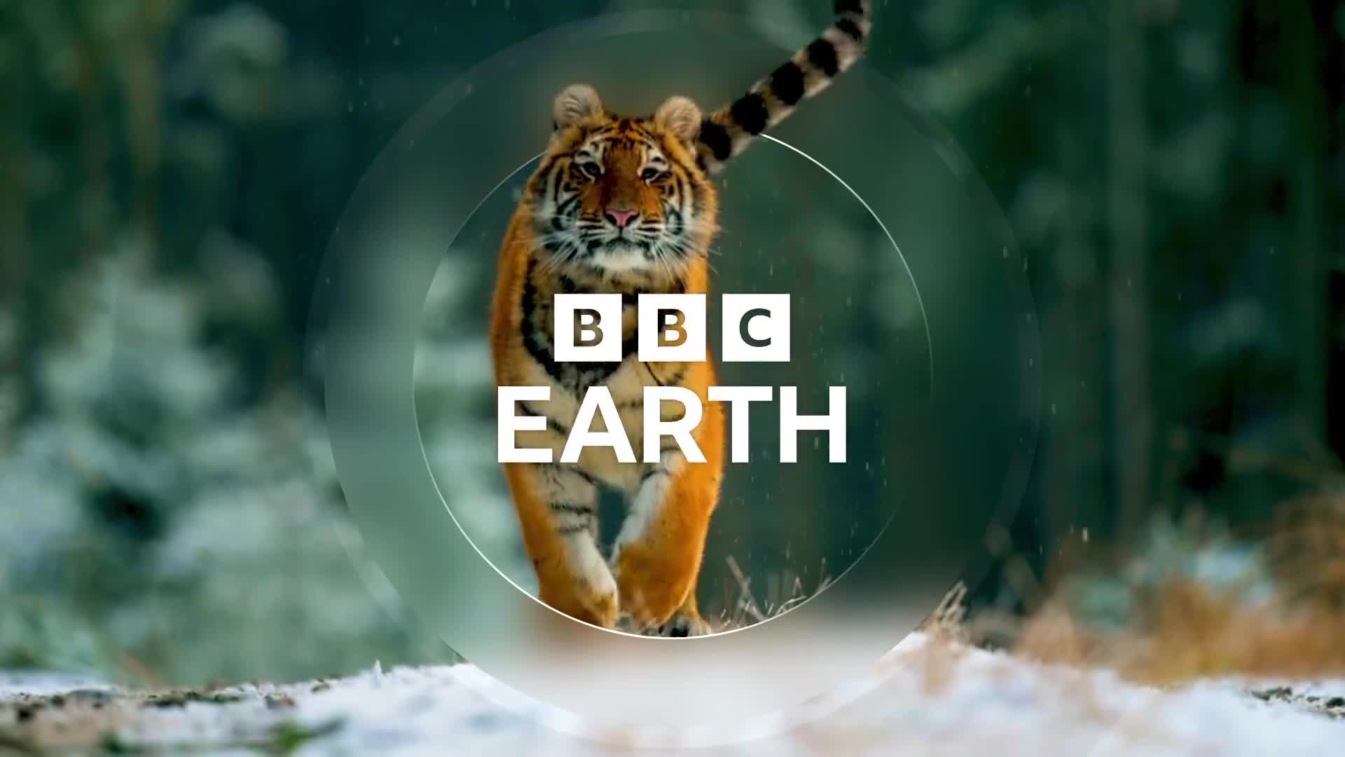 BBCEarth