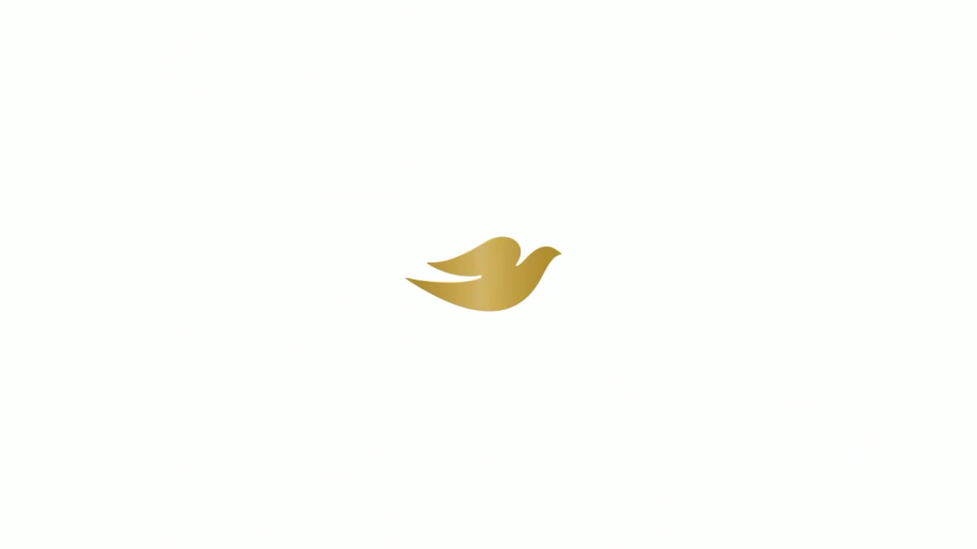 RTSHD