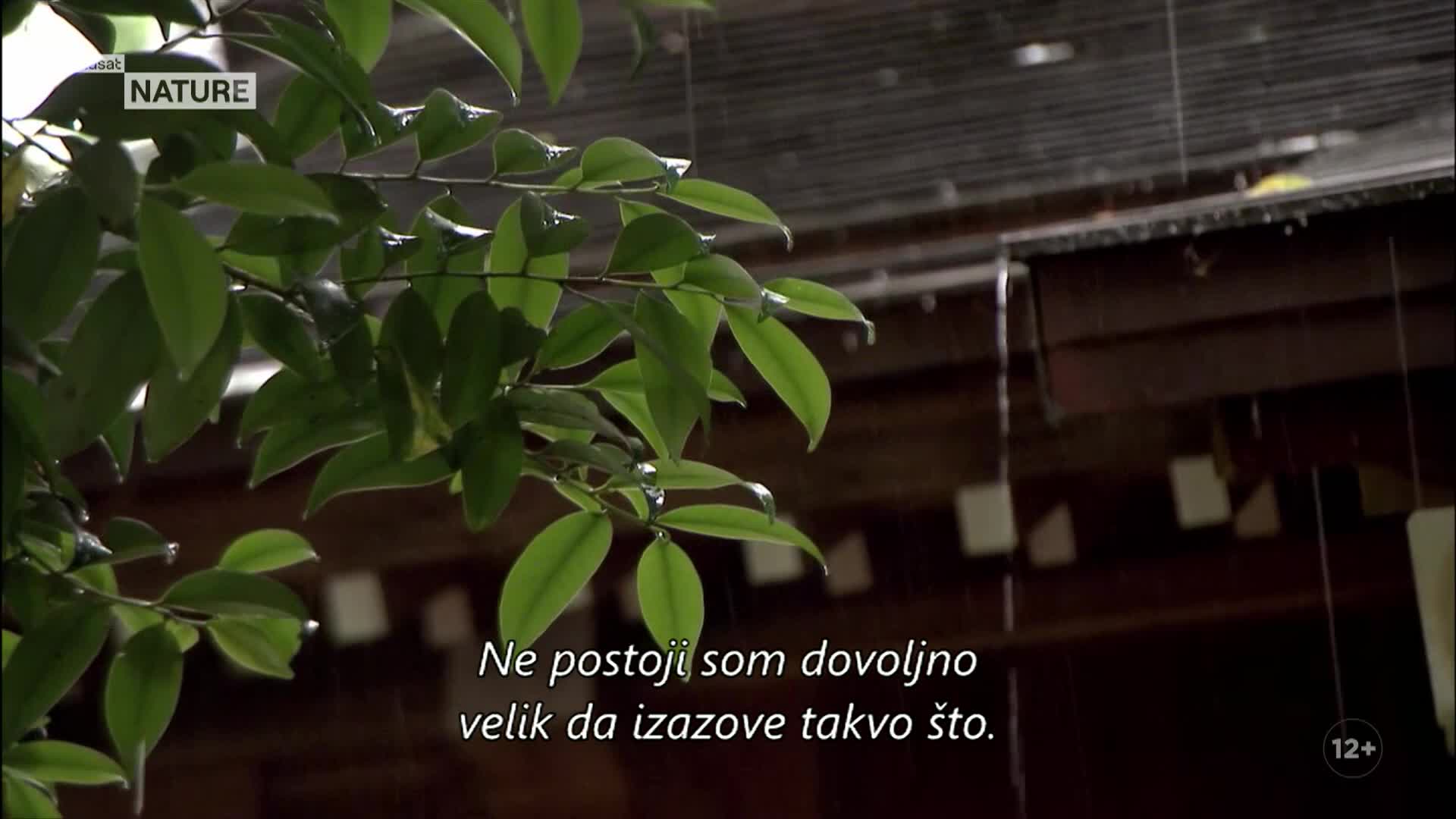 ViasatNature