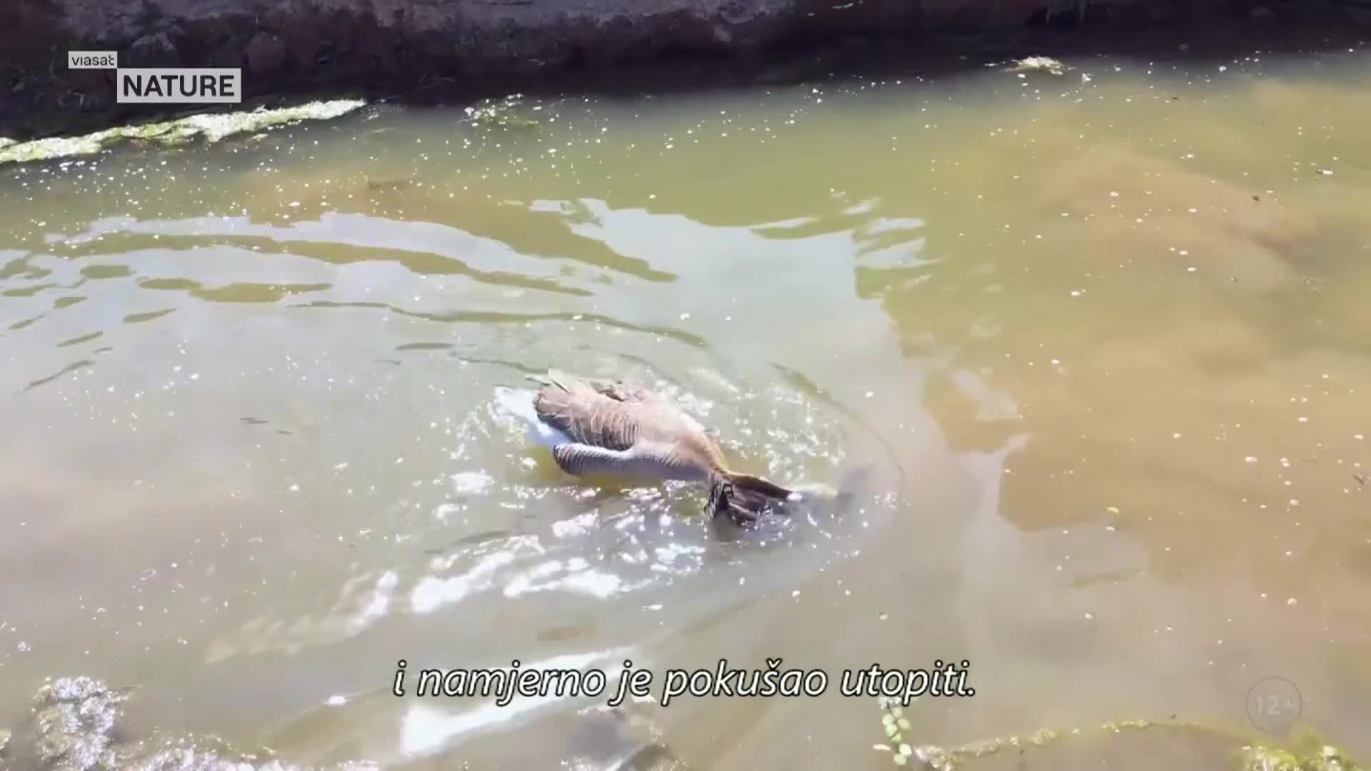 ViasatNature