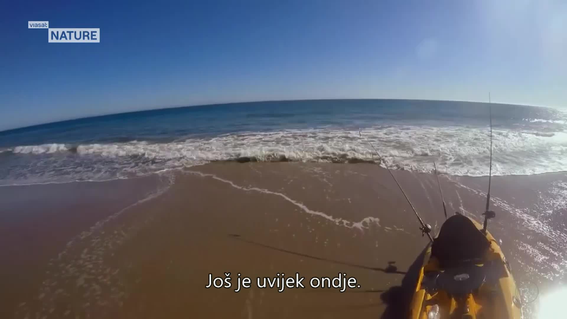 ViasatNature