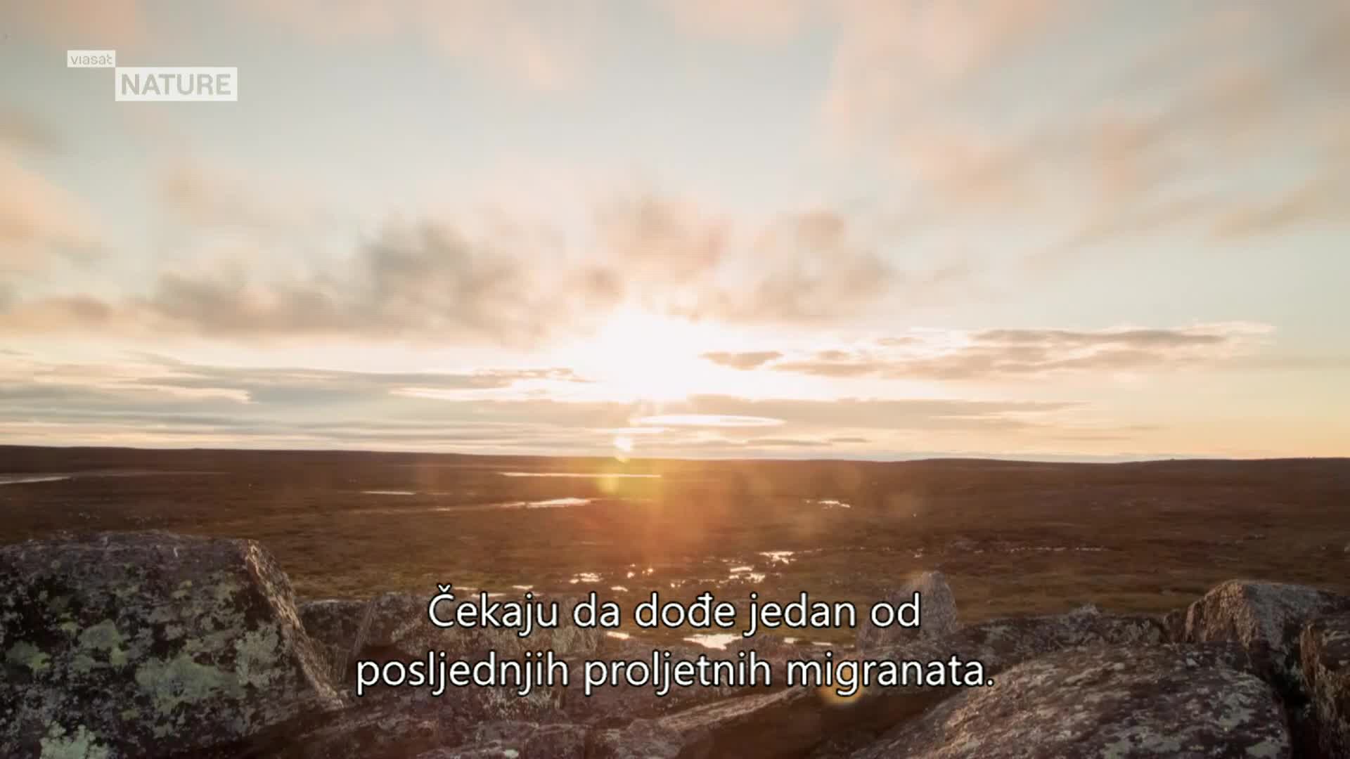 ViasatNature