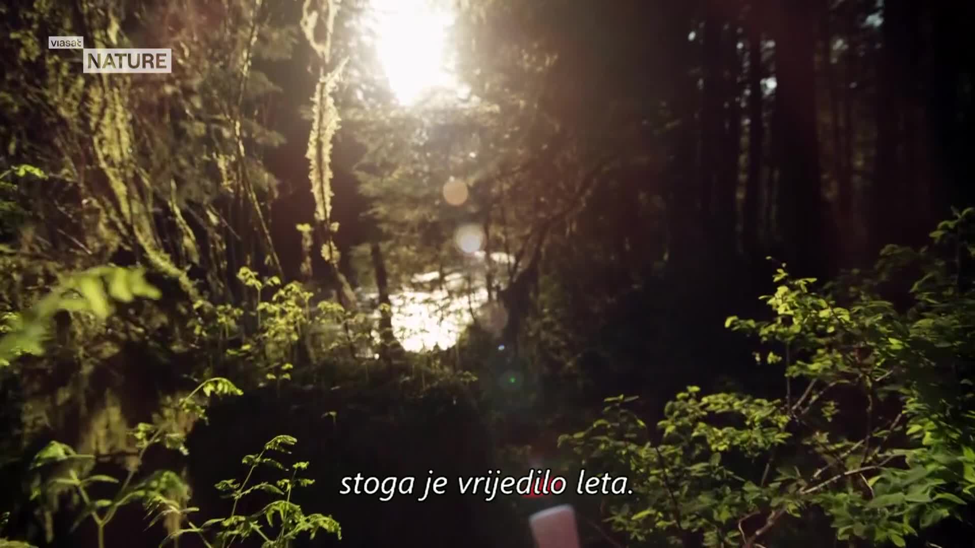 ViasatNature