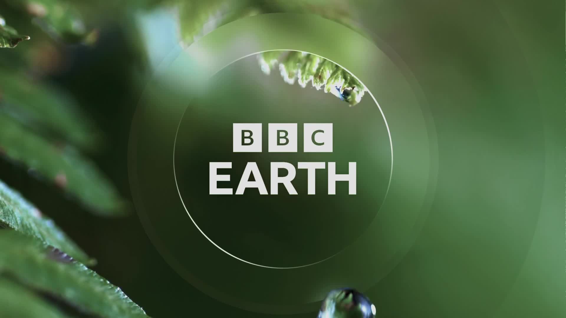 BBCEarth