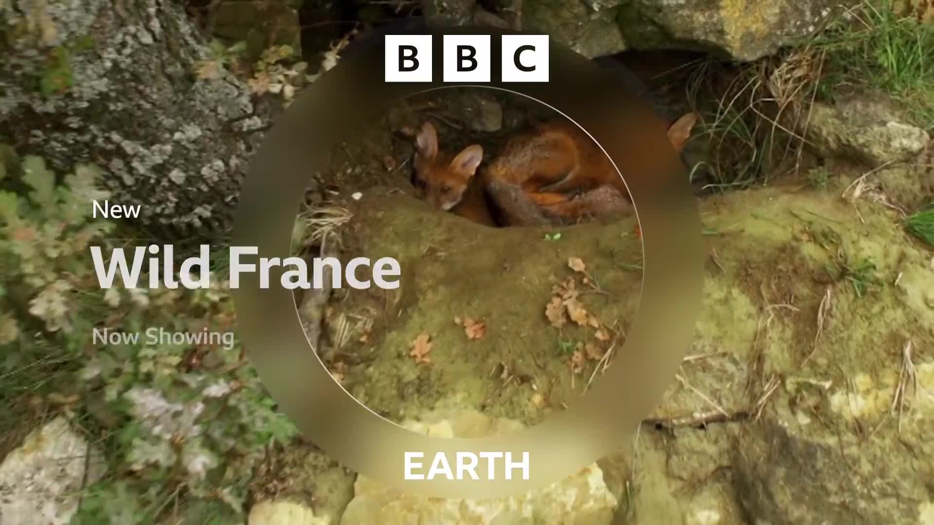 BBCEarth