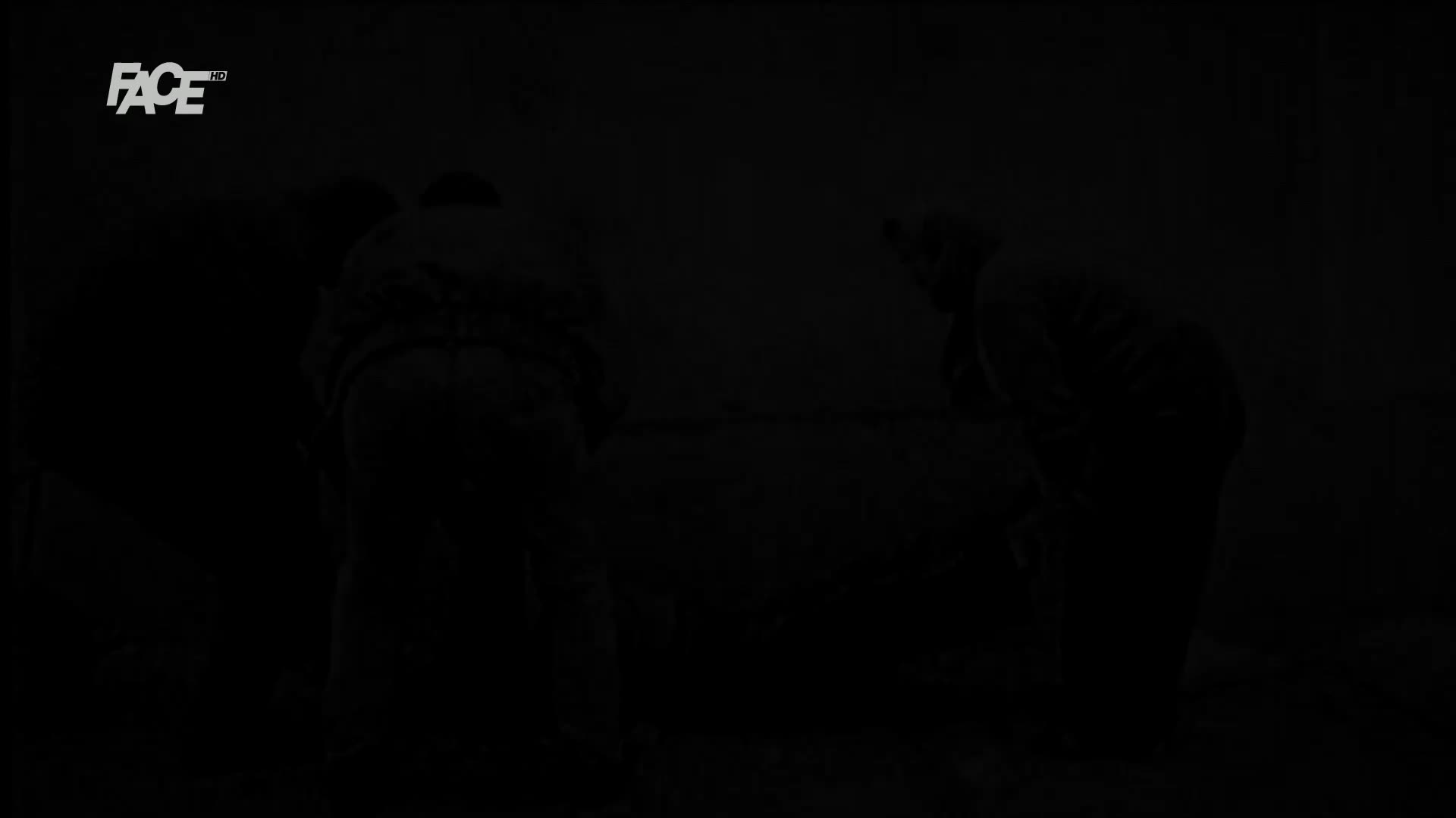 FaceTV