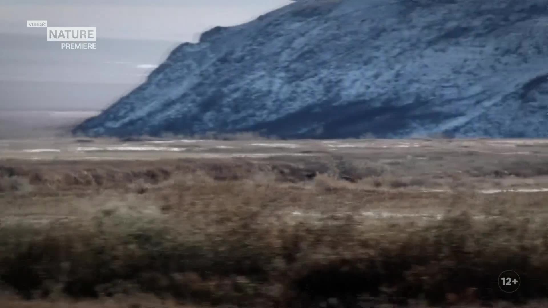 ViasatNature