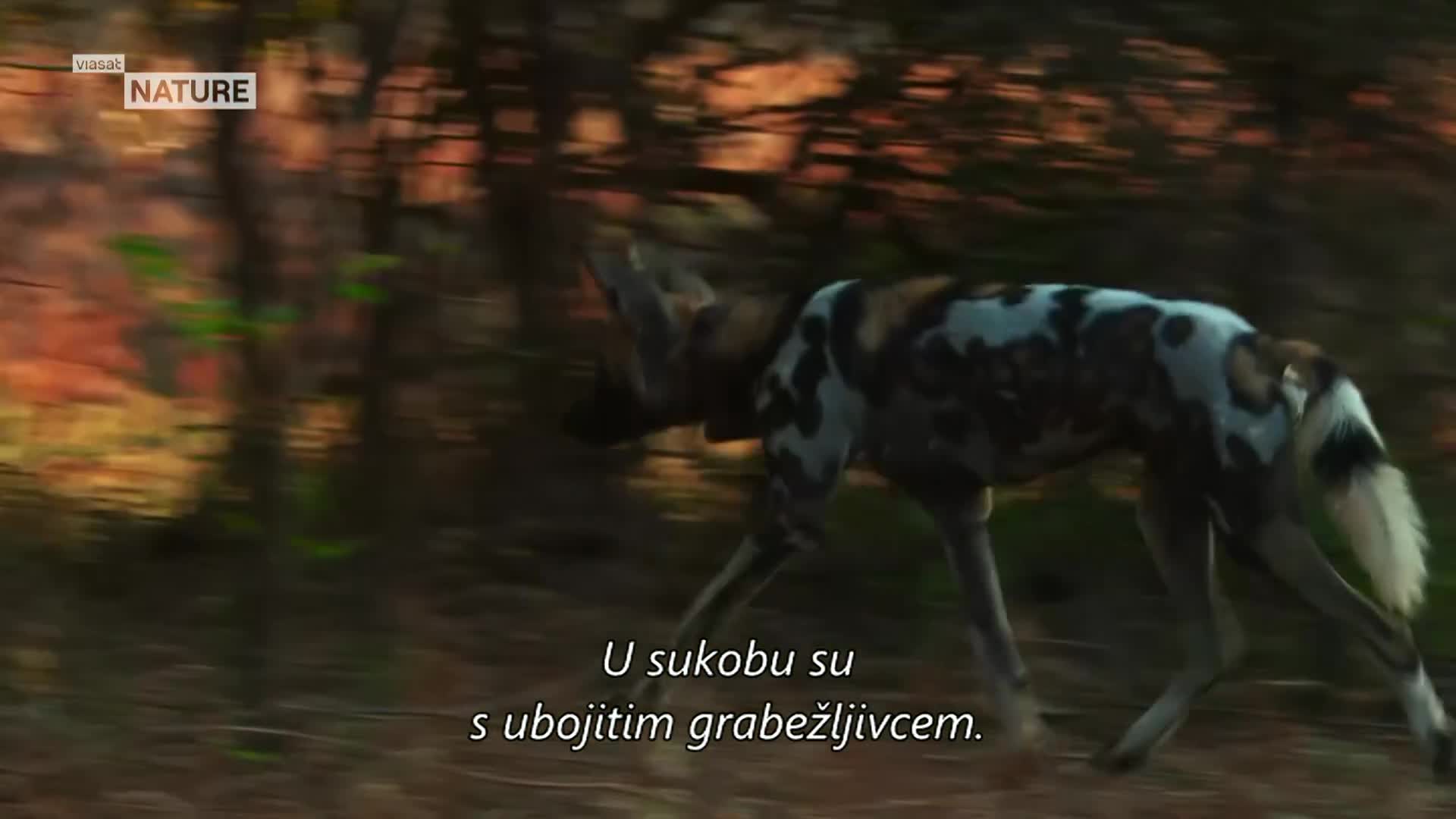 ViasatNature