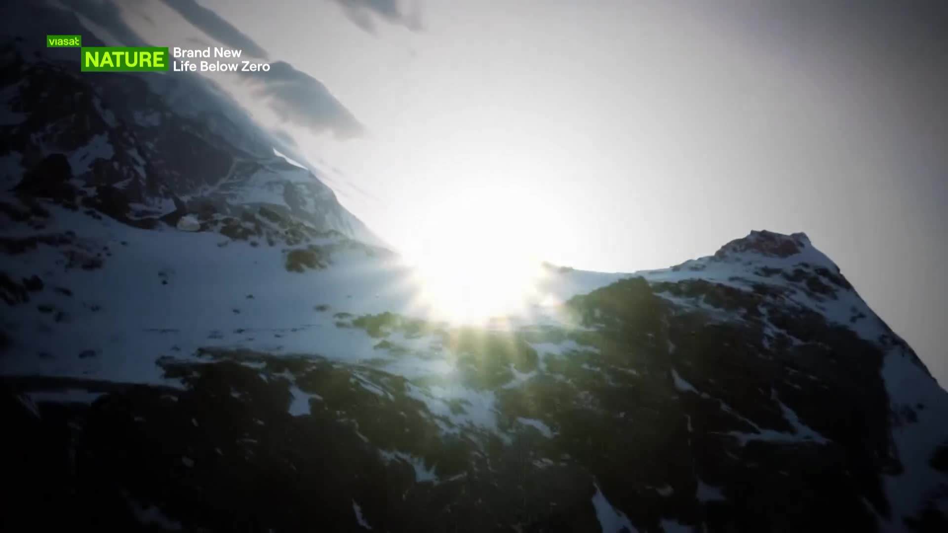 ViasatNature