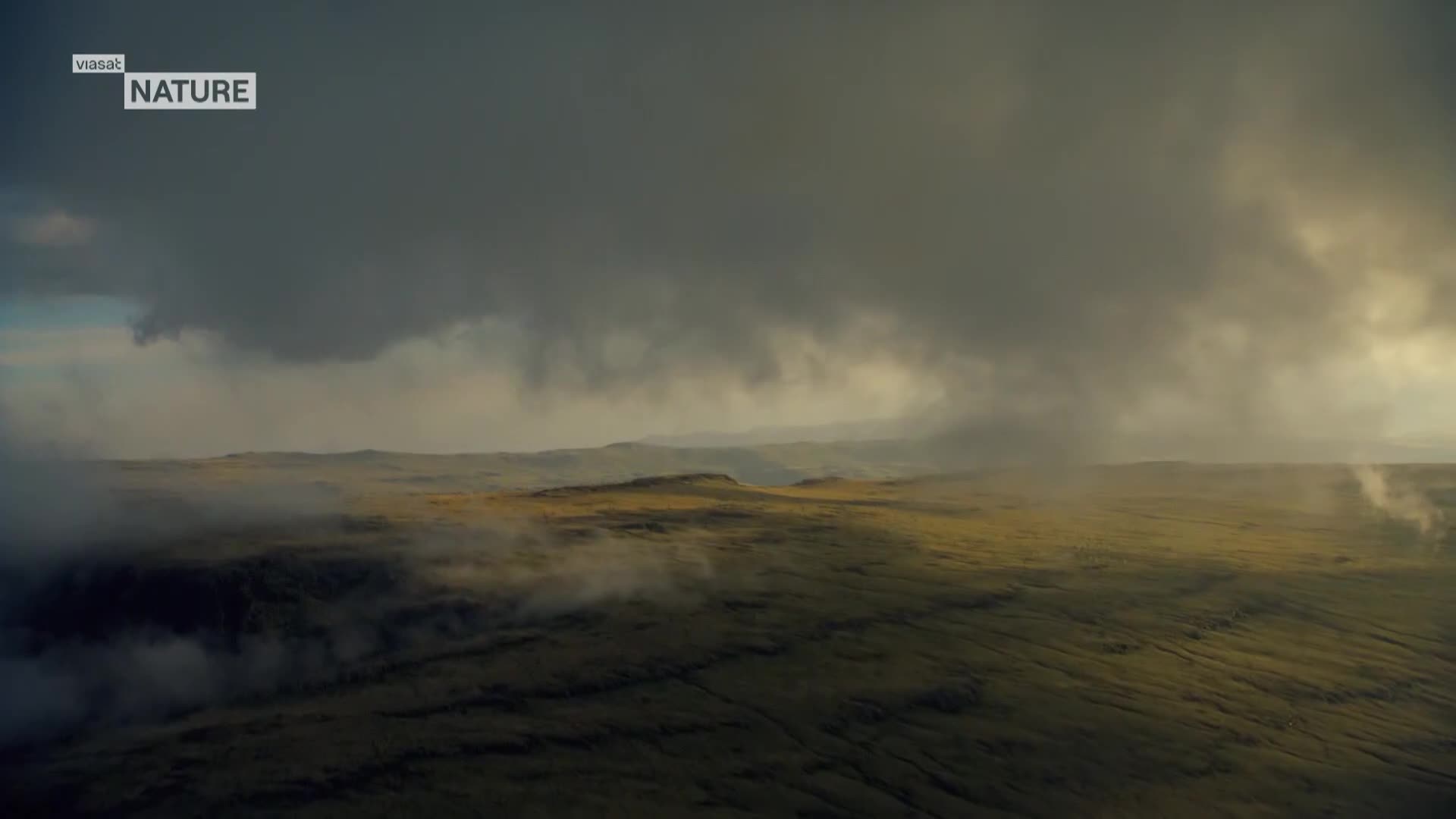 ViasatNature