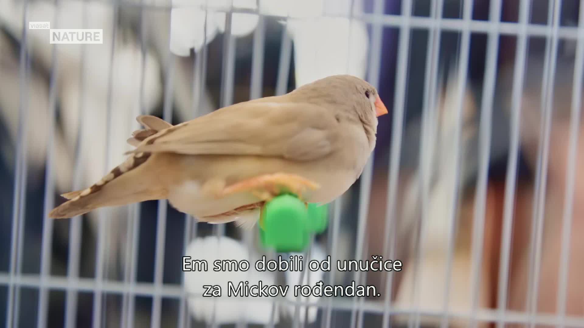 ViasatNature