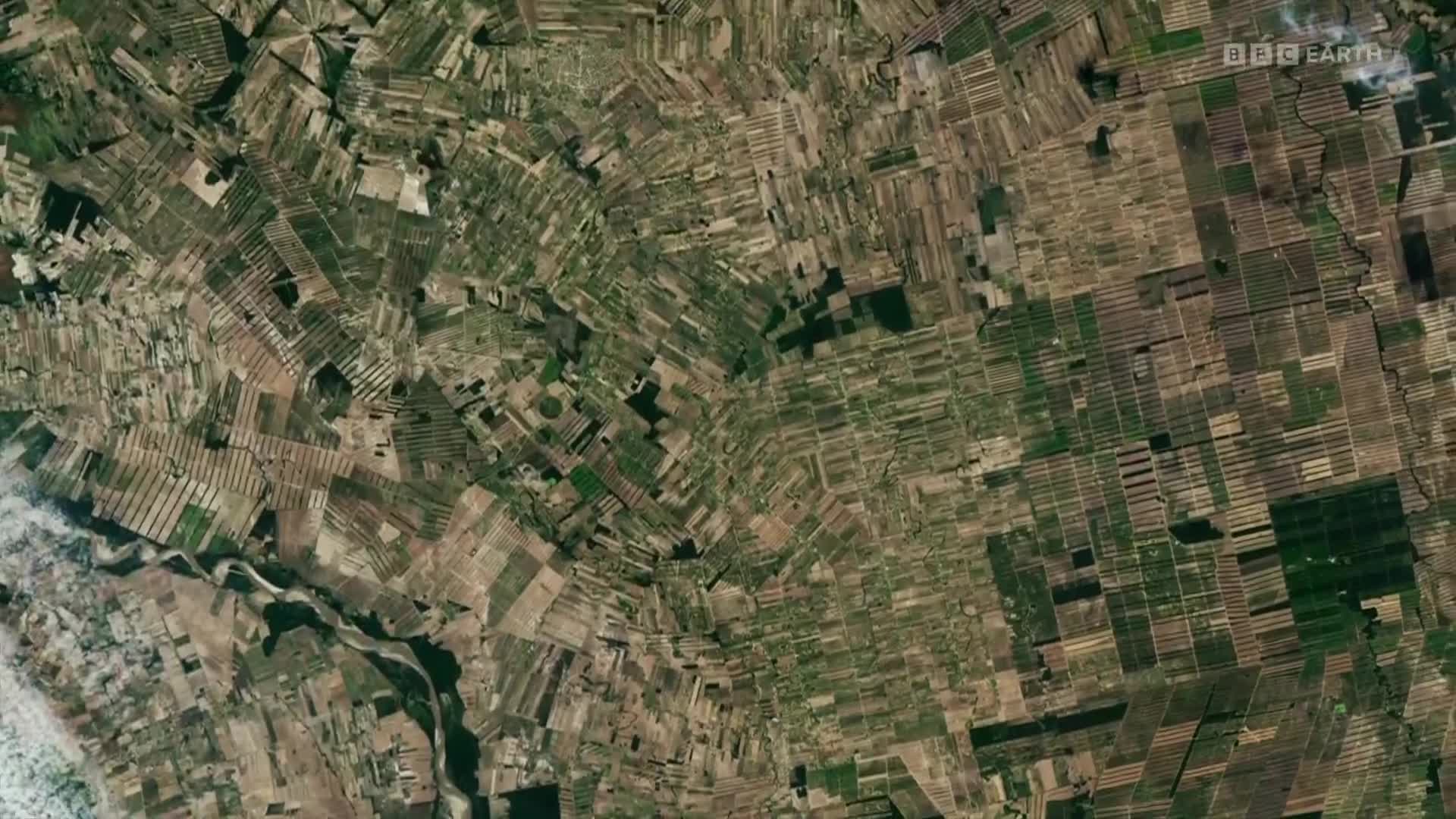 BBCEarth