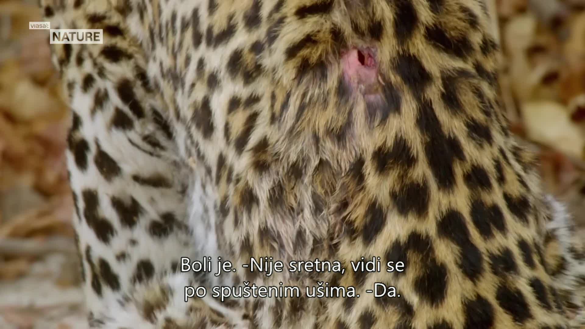 ViasatNature