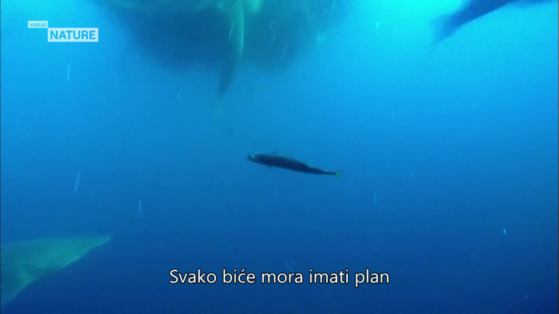 ViasatNature