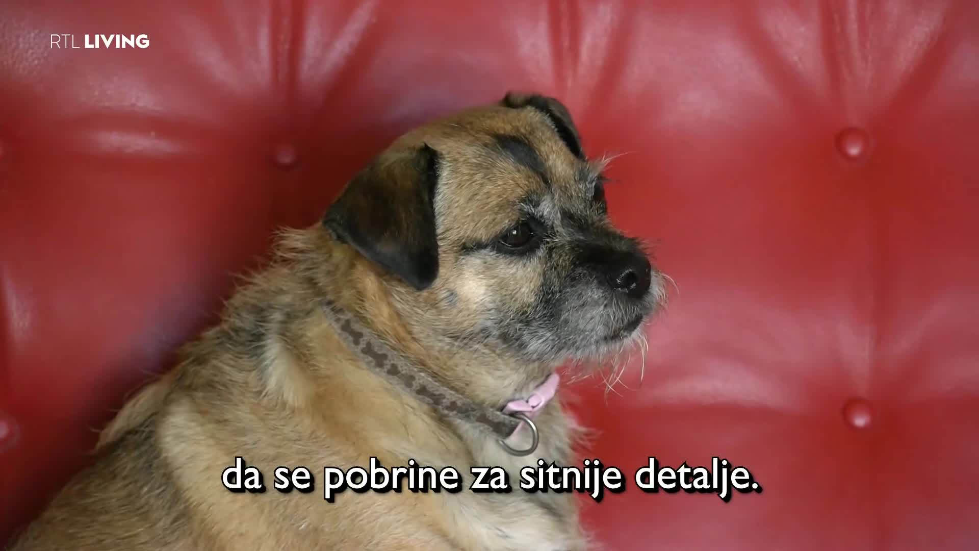 RTLLiving