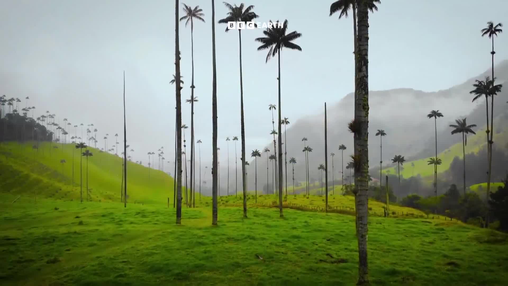 BBCEarth