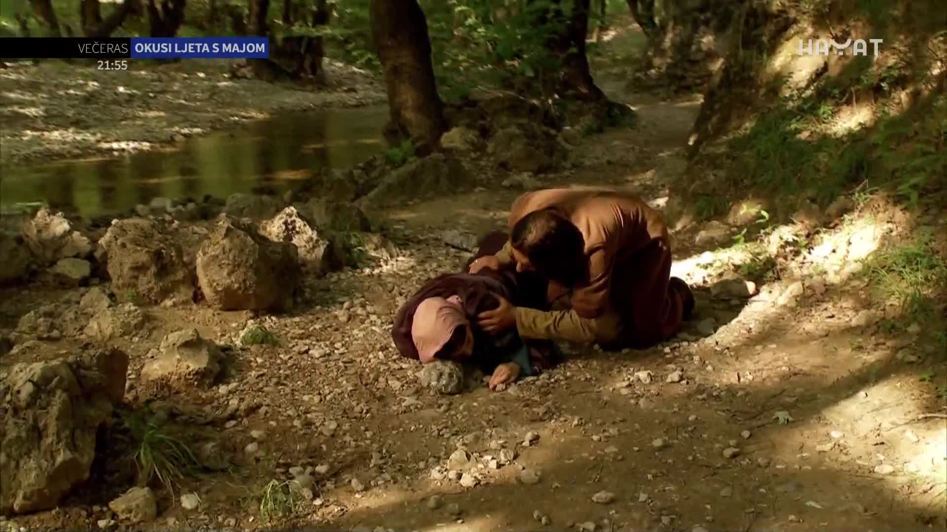 hayat