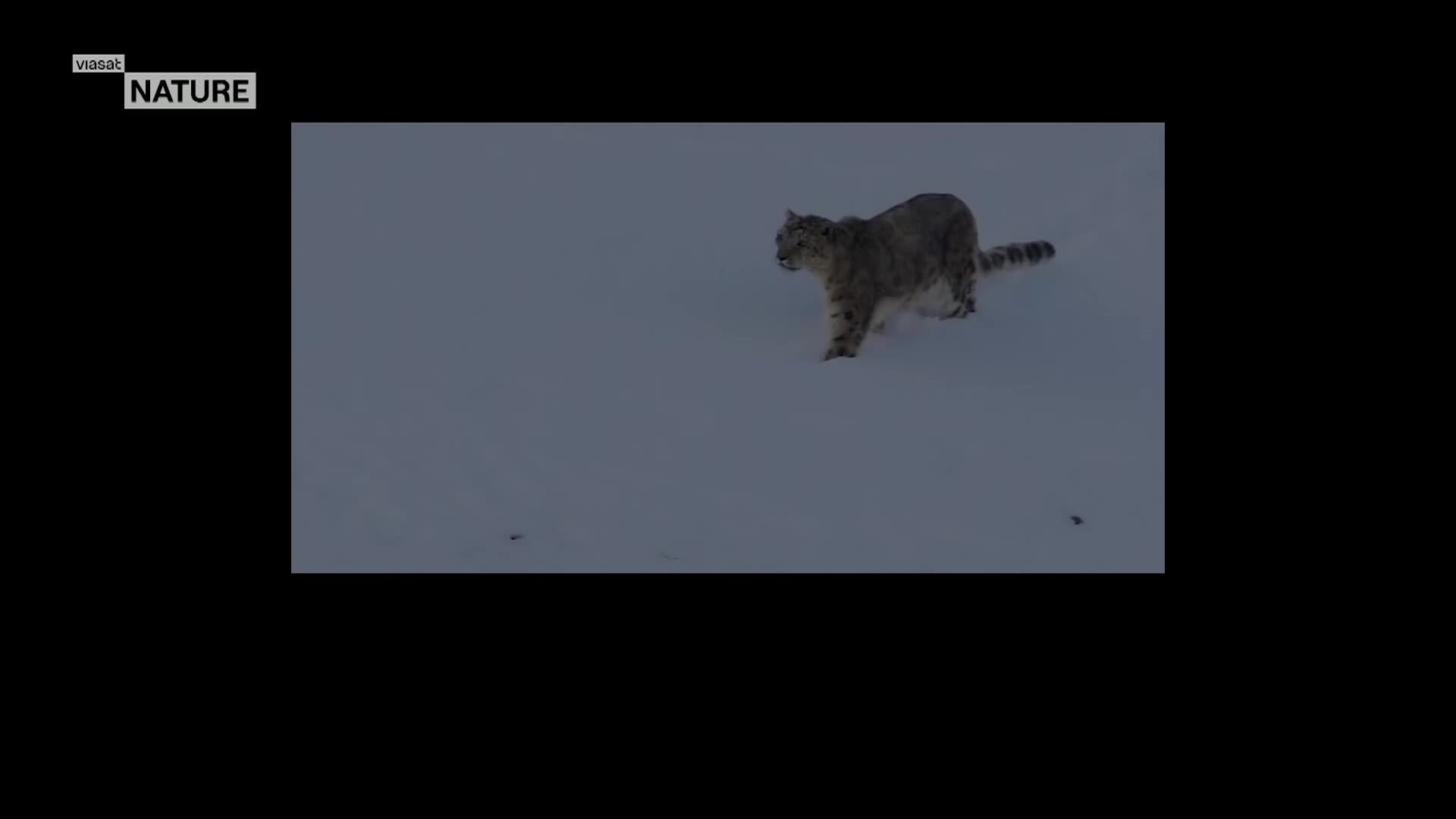 ViasatNature
