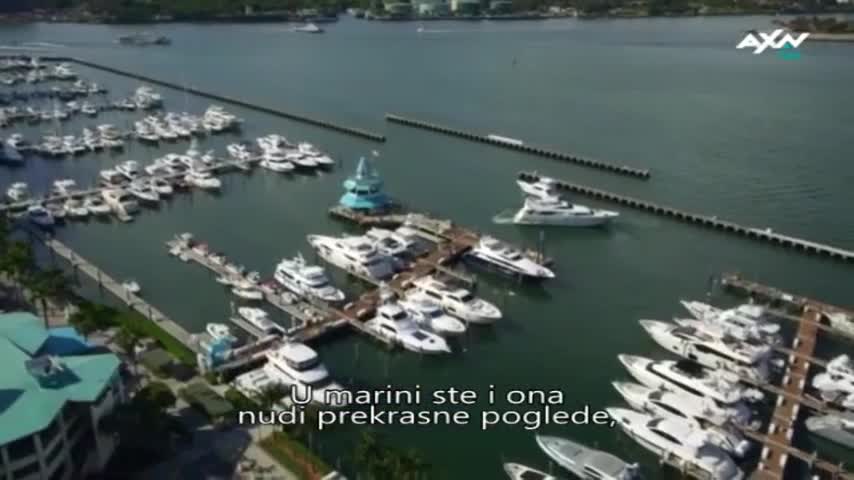 AXNSpin