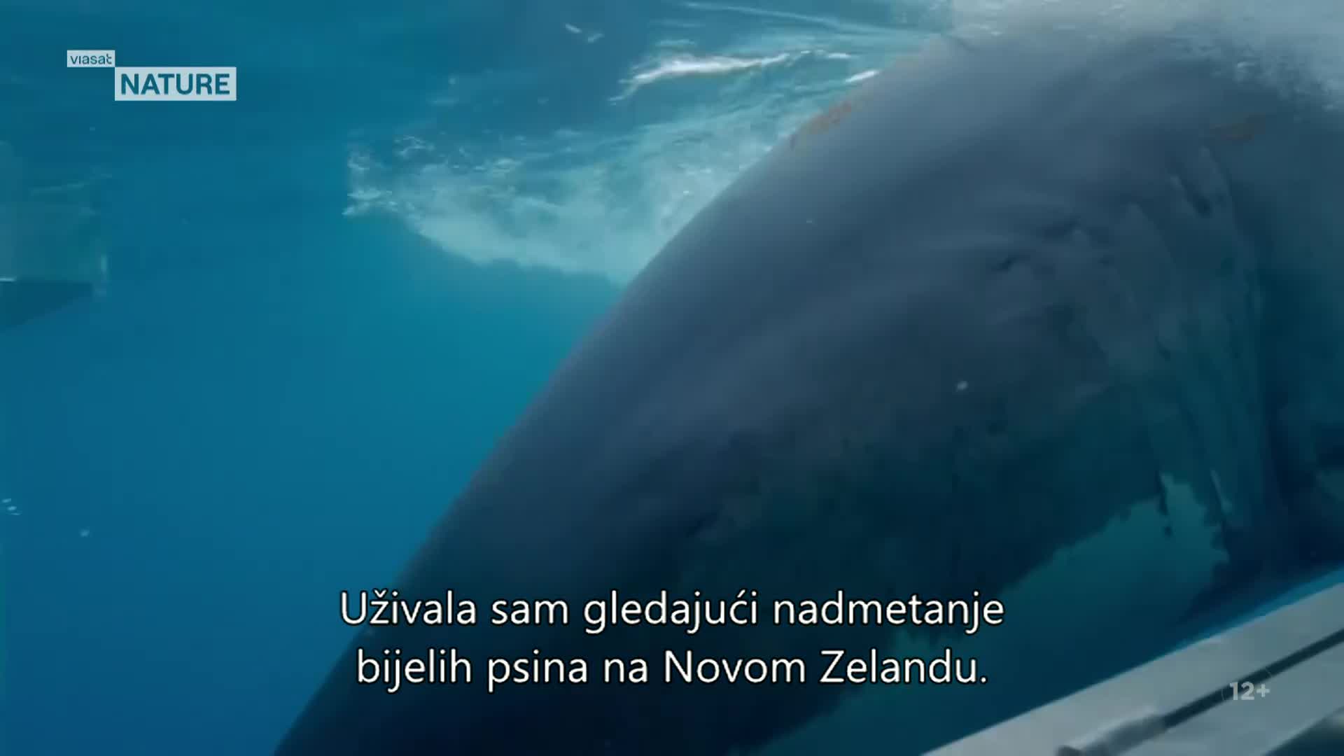 ViasatNature