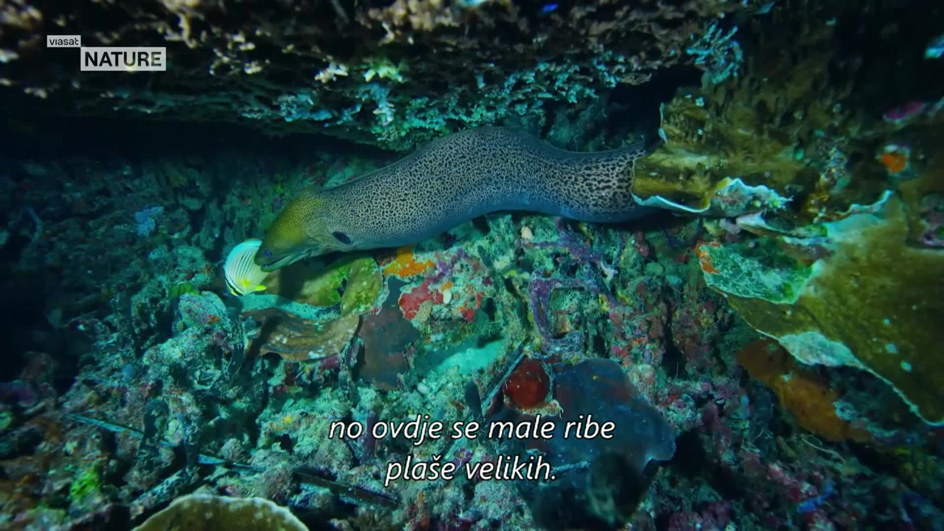 ViasatNature