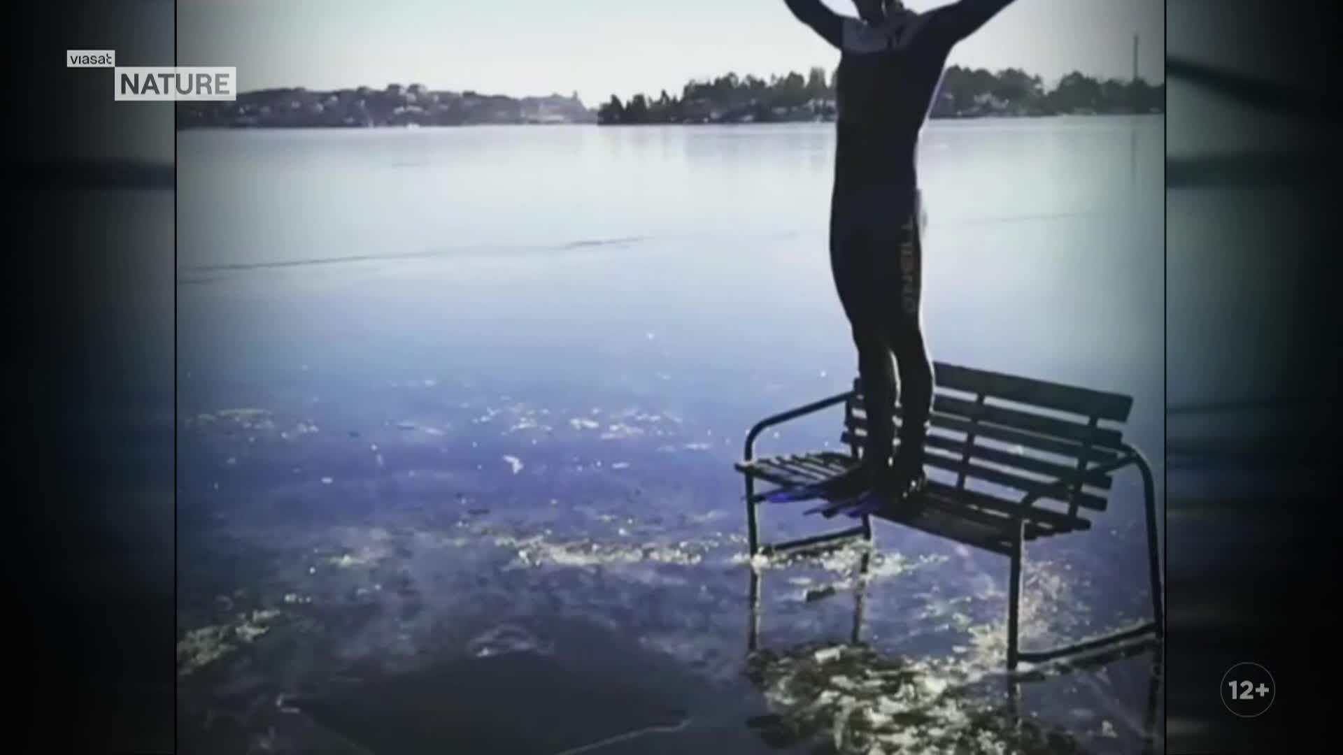 ViasatNature