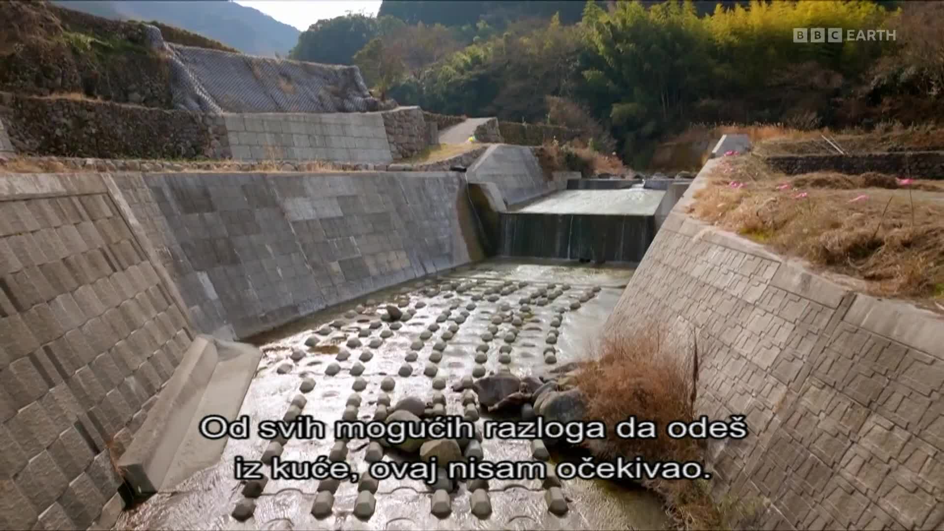 BBCEarth