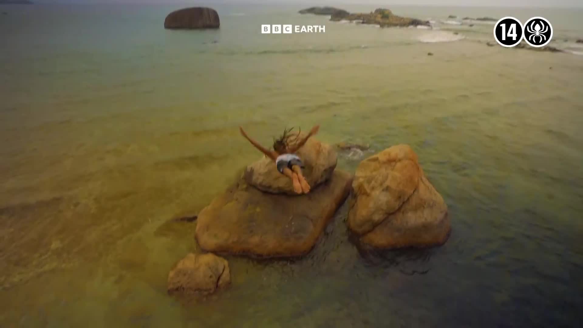 BBCEarth
