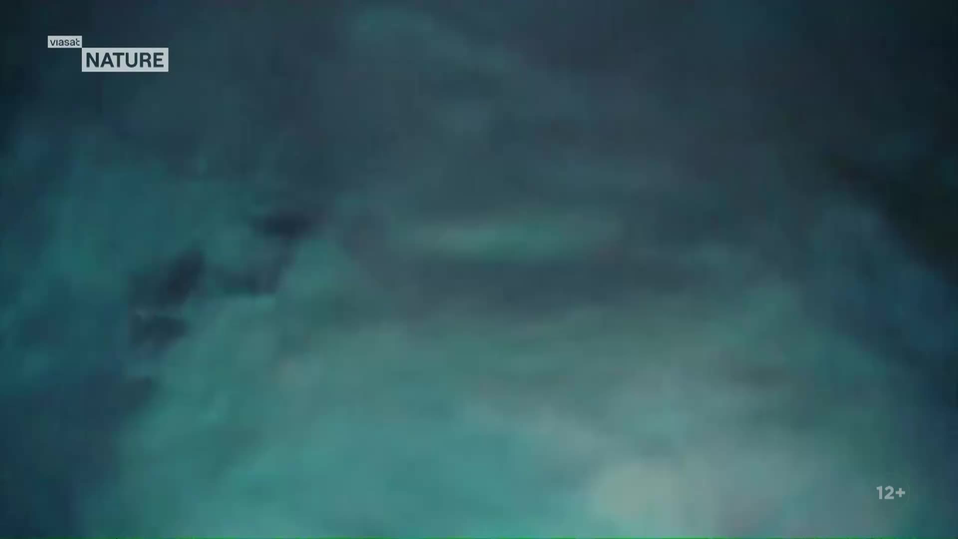 ViasatNature