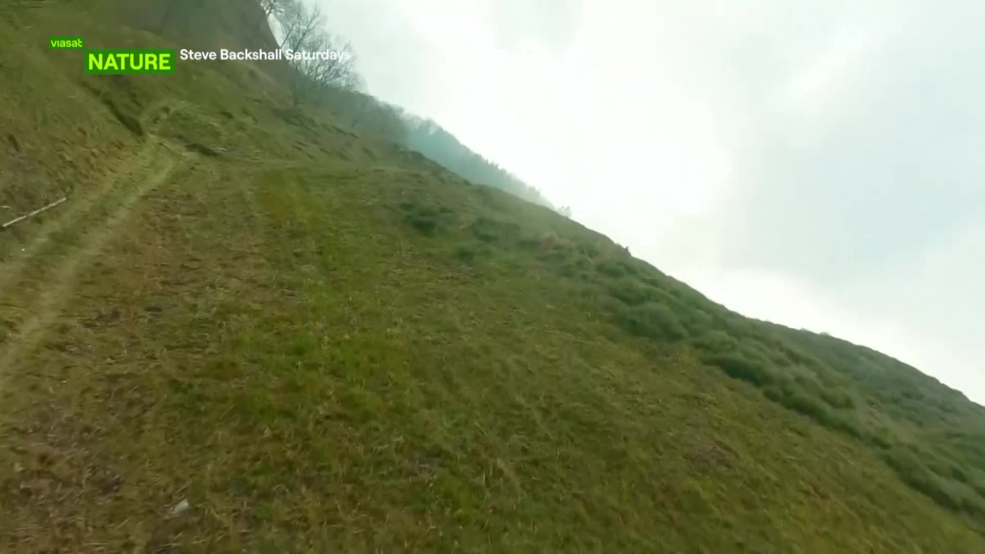 ViasatNature