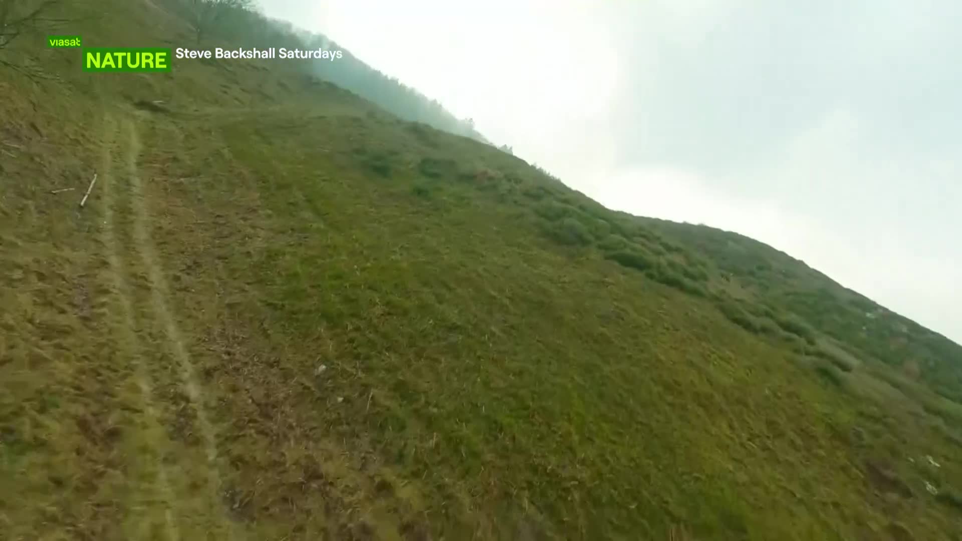 ViasatNature