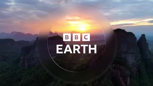 BBCEarth