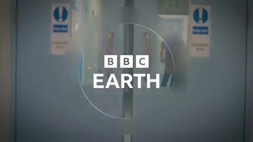 BBCEarth