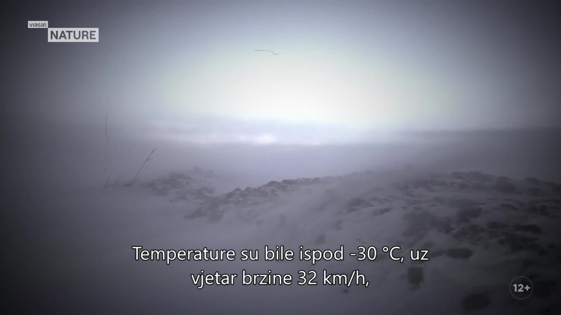 ViasatNature