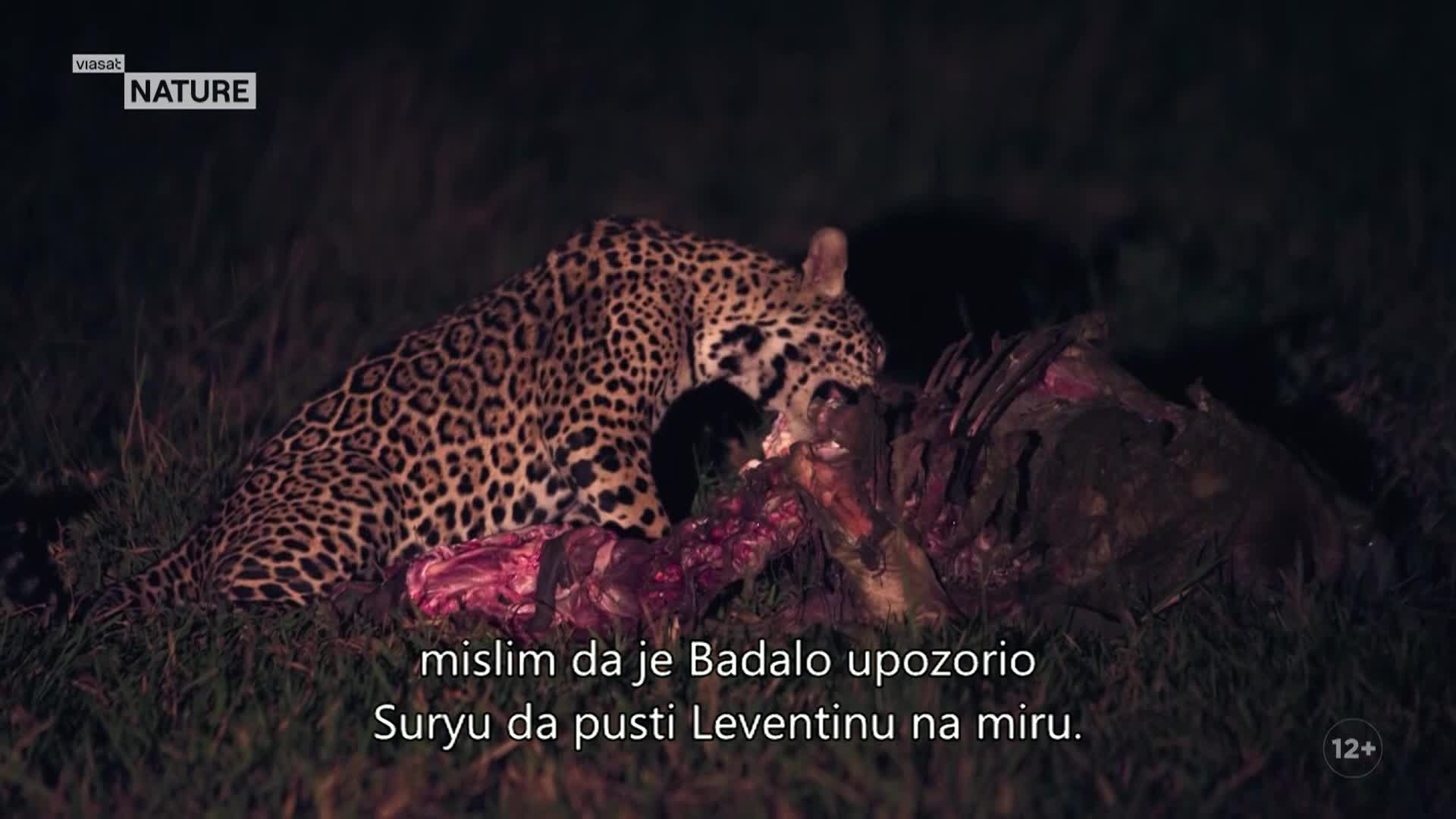 ViasatNature