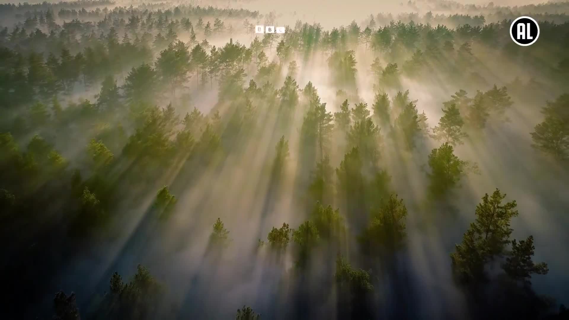 BBCEarth