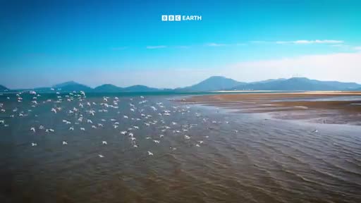 BBCEarth