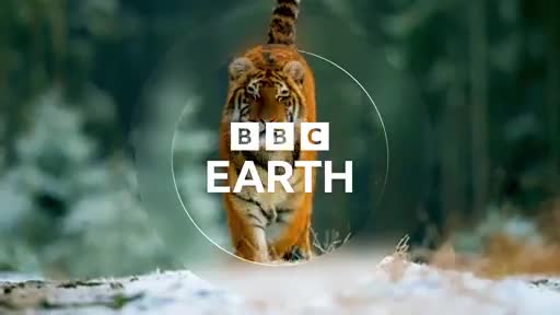 BBCEarth