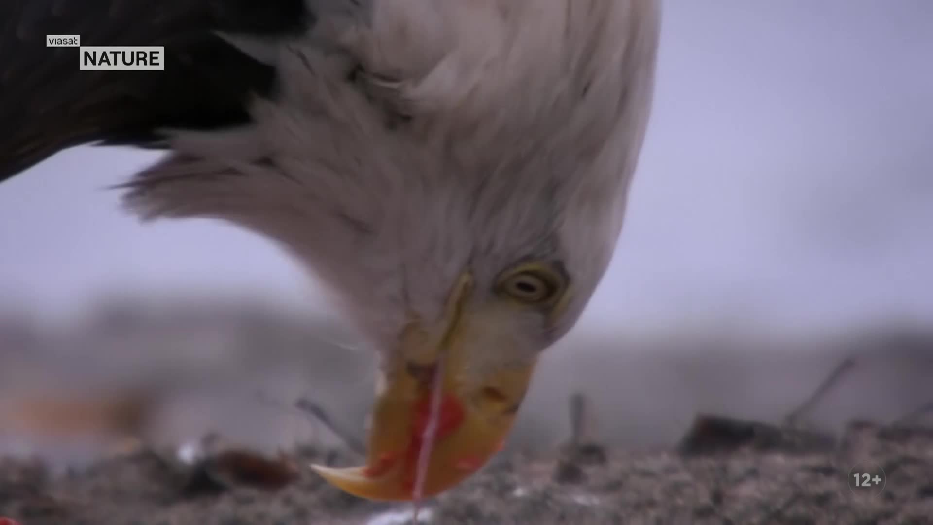 ViasatNature
