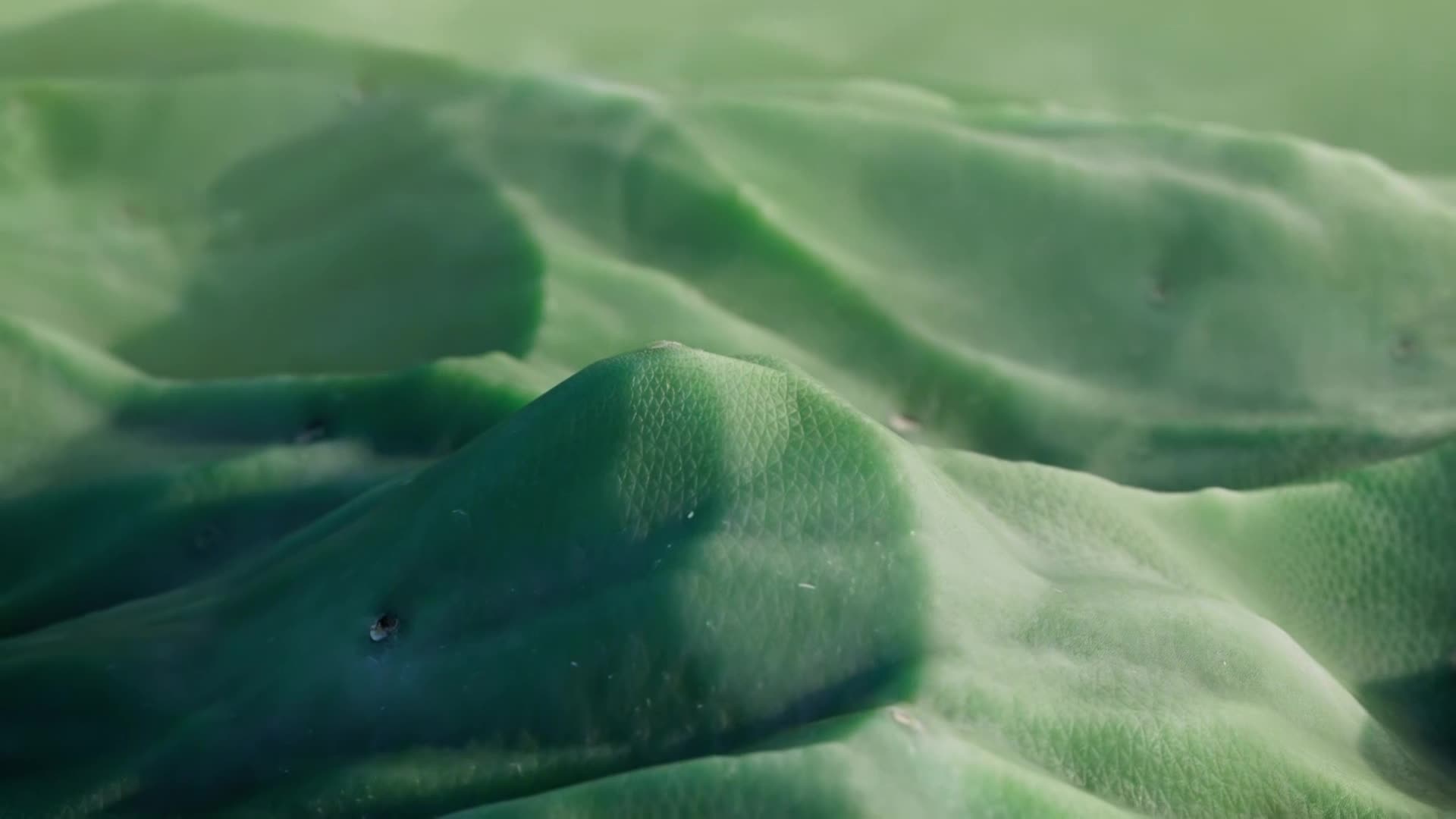 ViasatNature