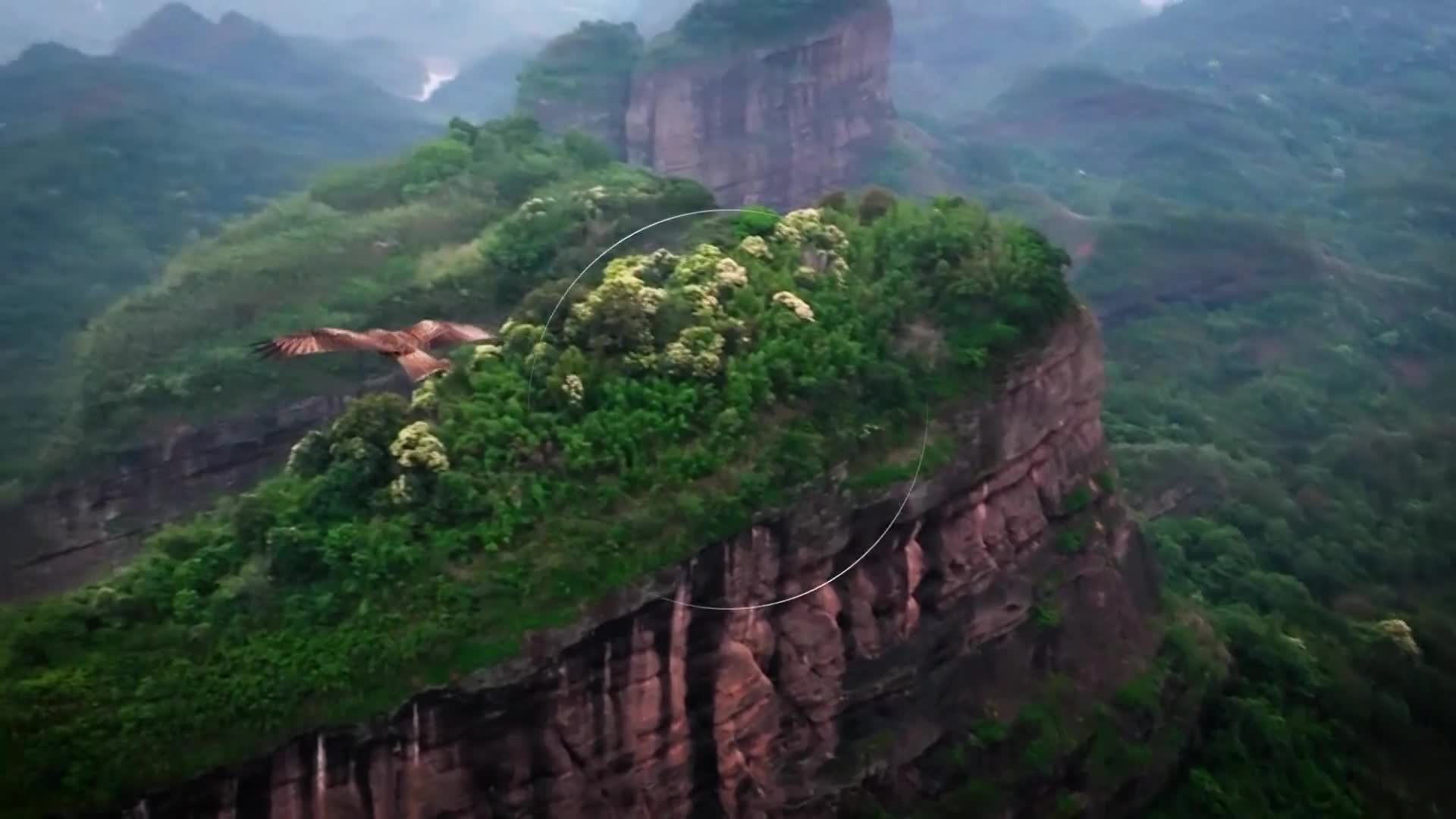 BBCEarth