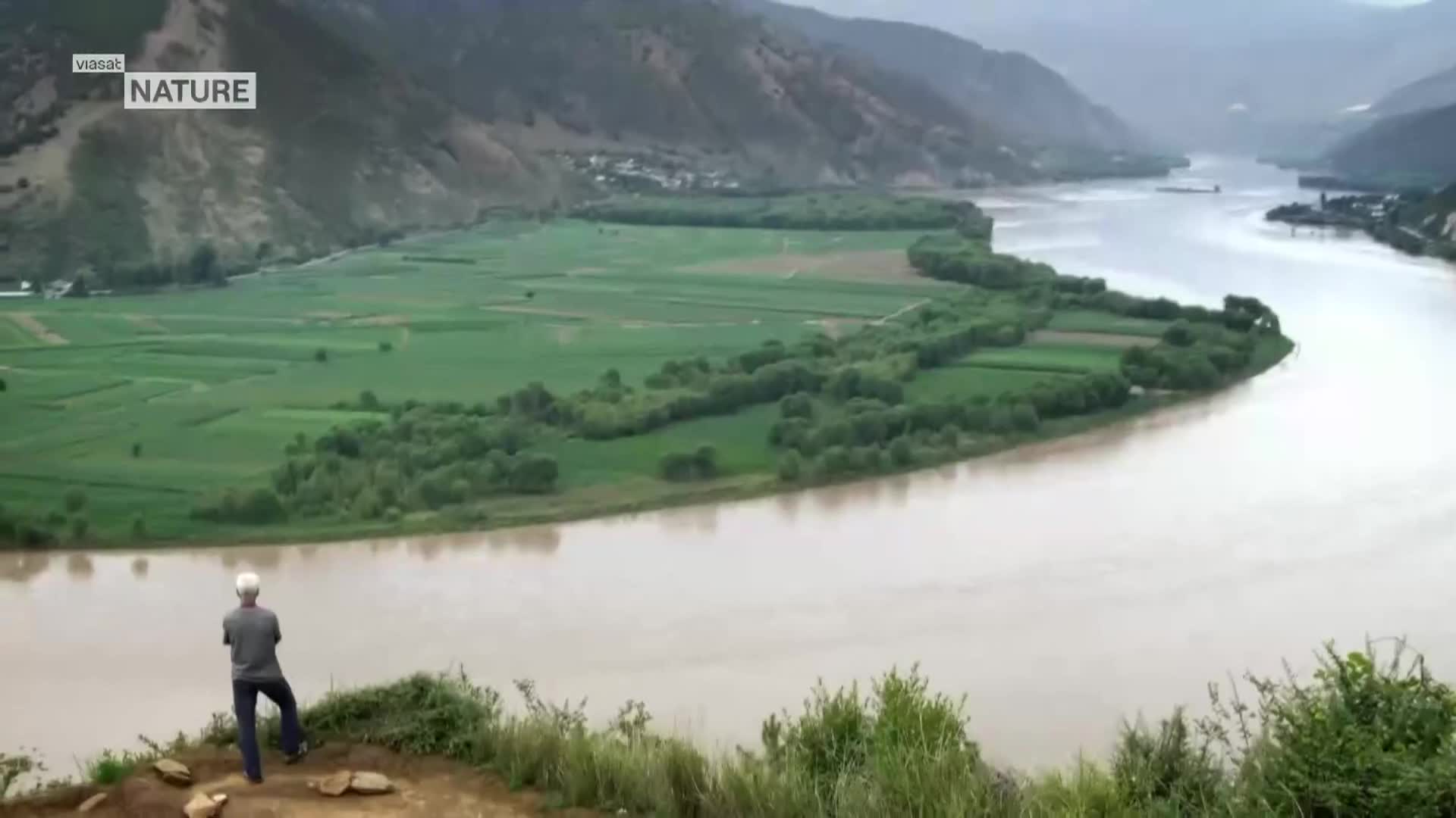 ViasatNature