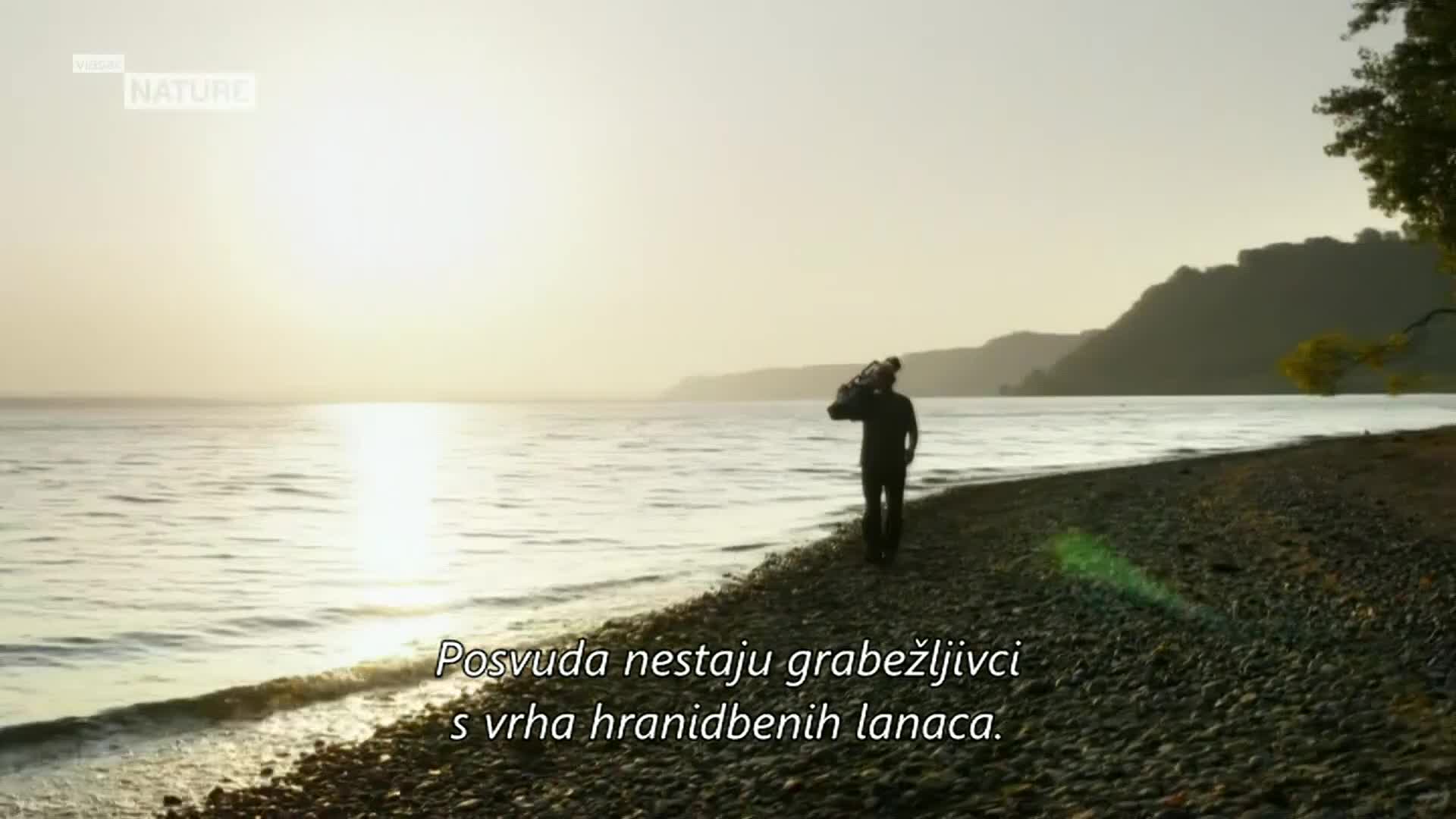 ViasatNature