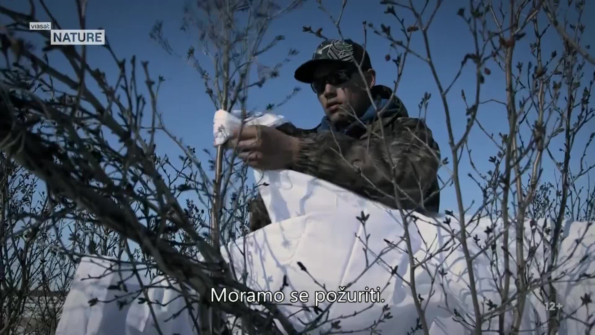 ViasatNature