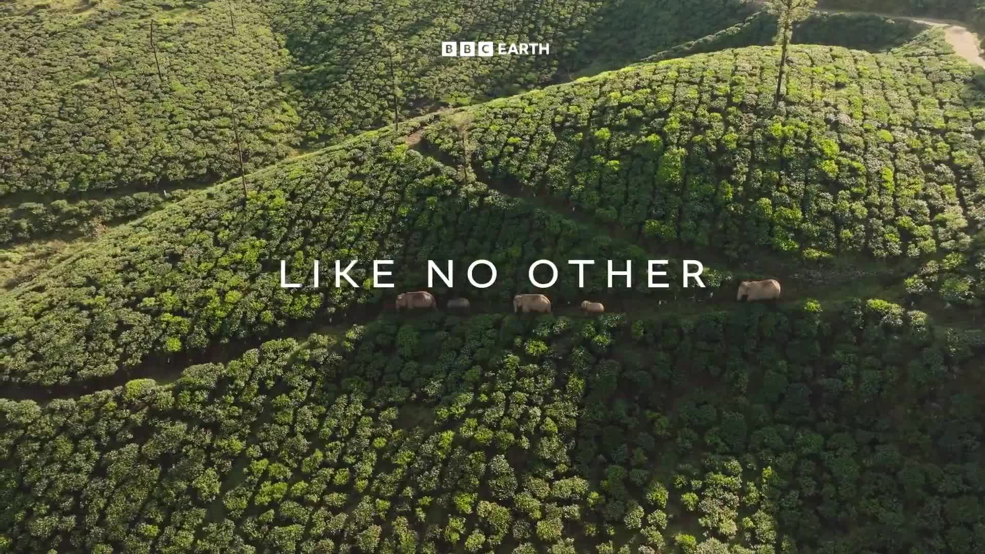 BBCEarth