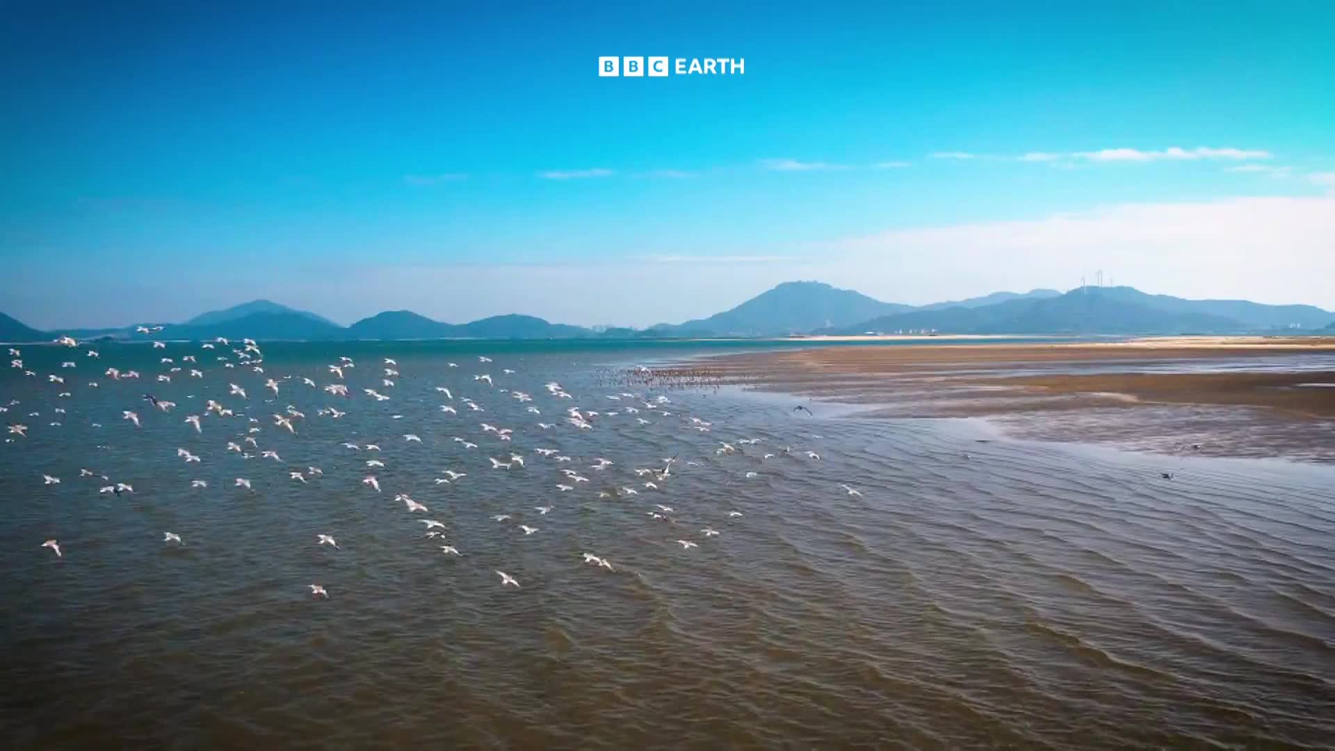 BBCEarth