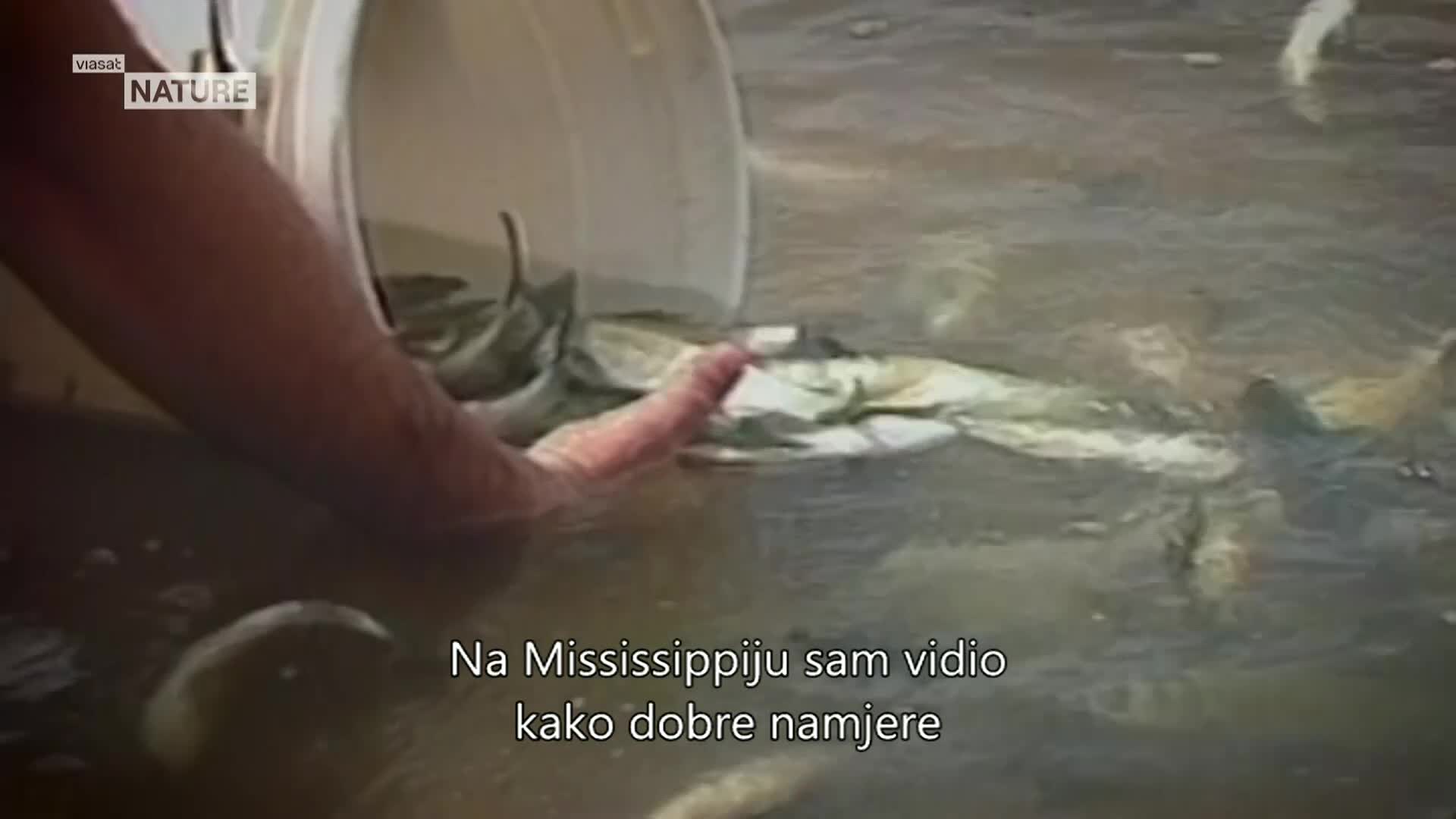 ViasatNature