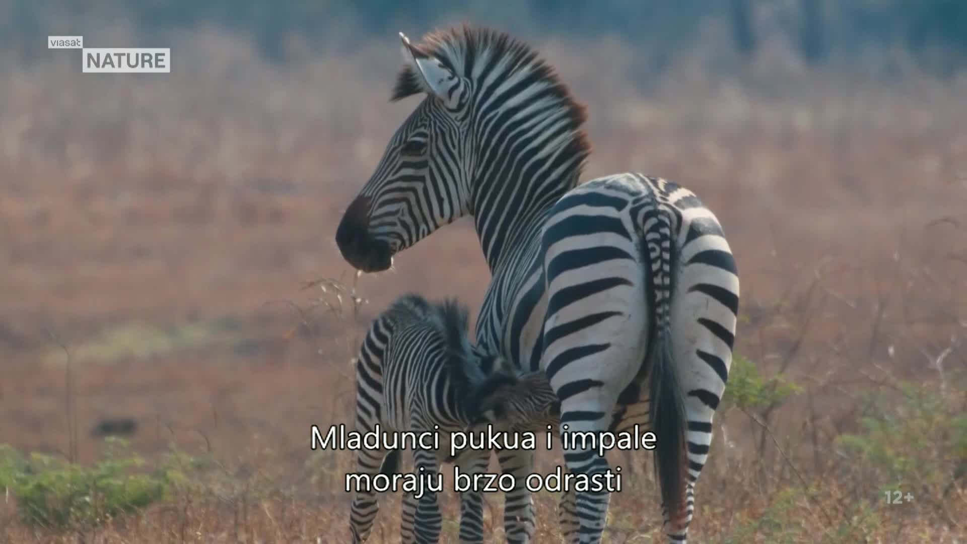ViasatNature