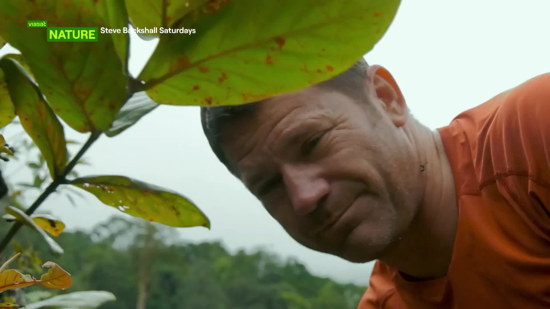 ViasatNature